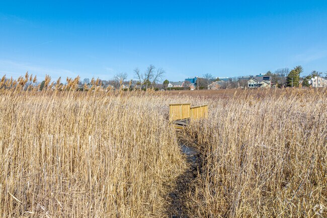 Wolf Road Prairie Preserve offers acres of land for exploring.