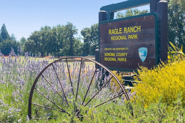 Ragle Ranch Park in Sebastopol, California is perfect for summer picnics.