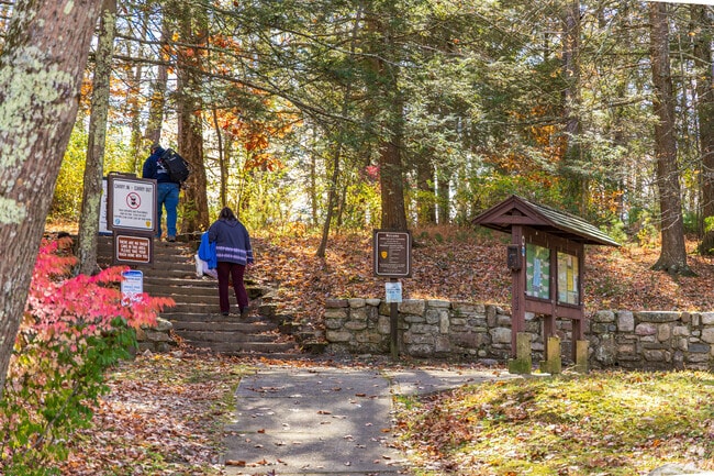Stokes State Forest Park in Sandyston has a series of hiking trails for locals to explore.