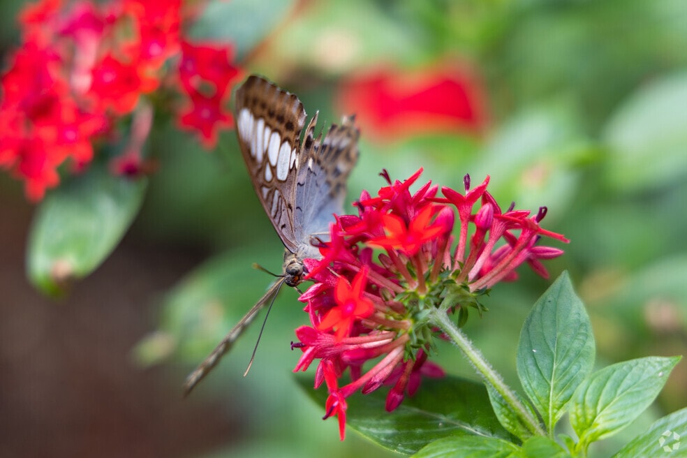 Gables Estates_535515_080725