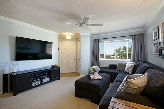 3504 Paseo De Los Americanos unit 74, Oceanside, CA 92056 - photo 3