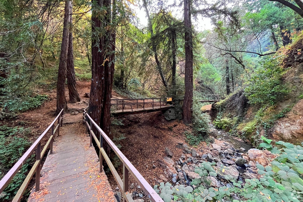 About Caballo Hills Schools, Demographics, Things to Do