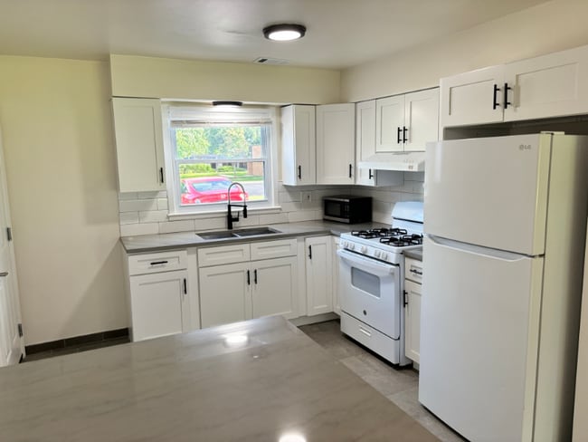 209 W Johnson St unit 1B, Palatine, IL 60067 - photo 4