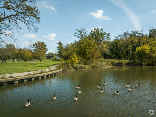 After the workday's end, take in the serene waterside vistas at Gwynn Oak, a 64-acre sanctuary.