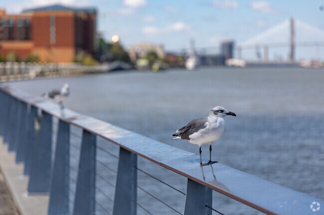 Wildlife can been seen throughout Hitch Village-Fred Wessels.