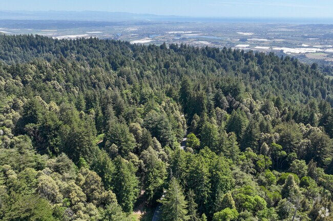 Byrne-Milliron Forest near Corralitos invites hikers to explore shaded trails and panoramic overlooks.