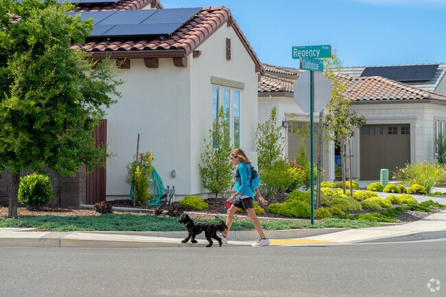 A woman walks her dog on clean, peaceful streets in a new luxury neighborhood in Folsom Ranch.