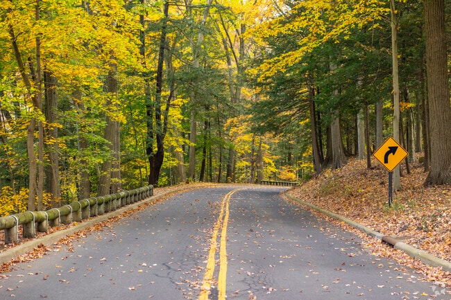 Youngstown’s Mill Creek Park is a great place to take a scenic drive close to home.