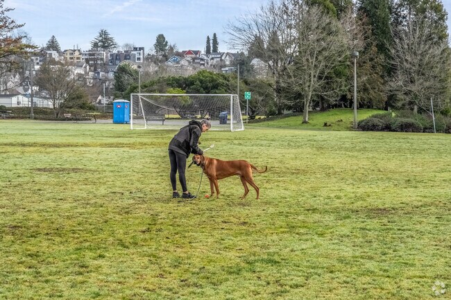 Atlantic offers several parks for residents to walk their pets and enjoy the outdoors.