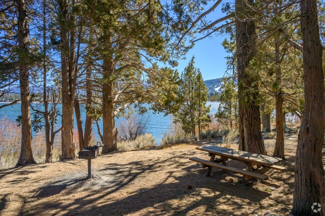 Big Bear City's Juniper Point Picnic Area has incredible views of the forest and lake.