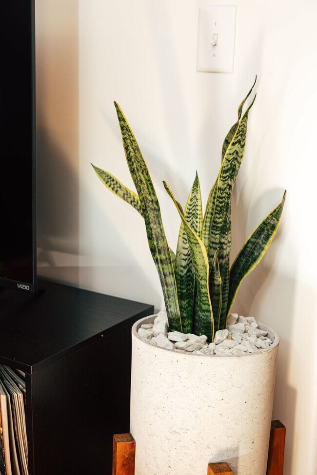 1911 3rd Ave N unit ID1352415P, Birmingham, AL 35203 - photo 6