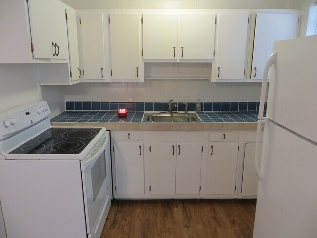 315 NW 19th Ln unit 4, Gainesville, FL 32609 - photo 6