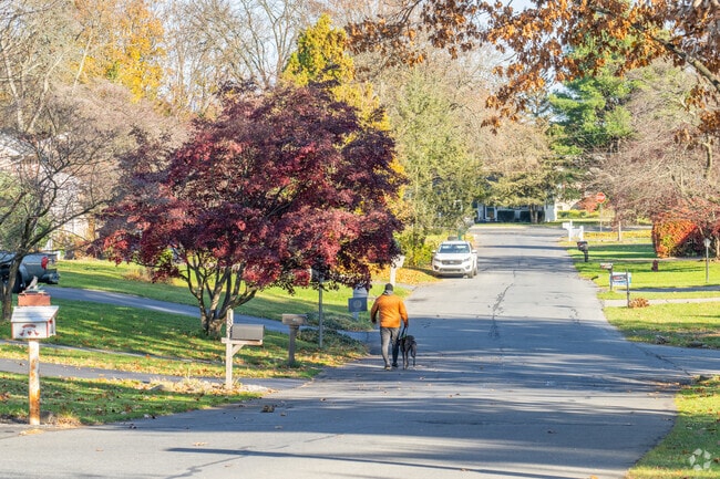 Residents often walk their dogs on tree-lined streets in Hanover Township Northampton.
