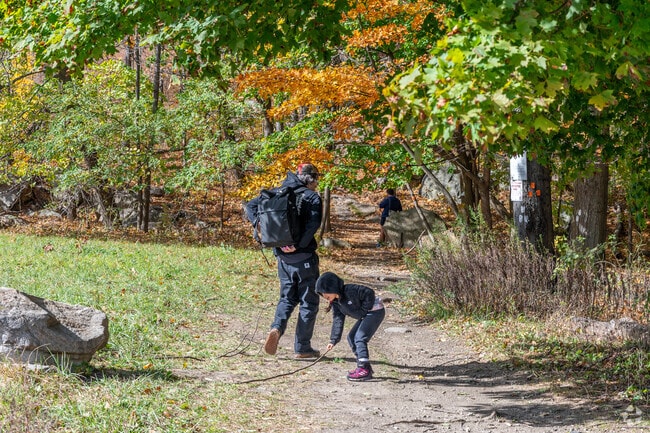 Storm King State Park offers numerous trails, many of them leading to breathtaking overlooks.