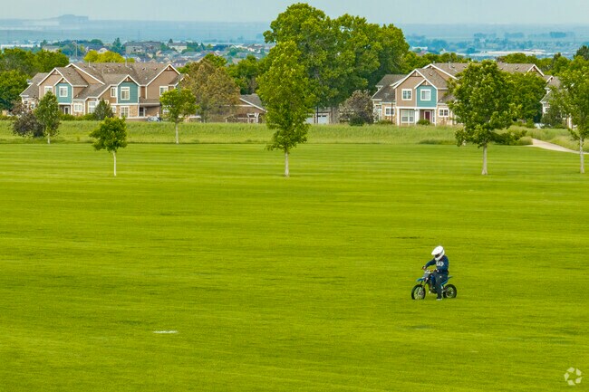 Lewis Pointe in Thornton, Colorado, thrives on family-friendly open spaces that invite picnics, playdates, and moments of shared wonder in the fresh Colorado air.