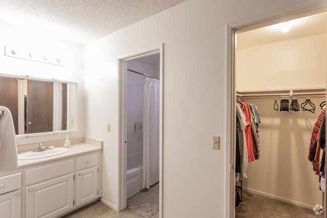 Sherwood and Forest Arms Apartments, Davis, CA 95616 - photo 5