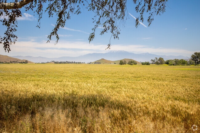 Open Farmland with a View of Mt. San Jacinto Seen from Winchester-San Jacinto.
