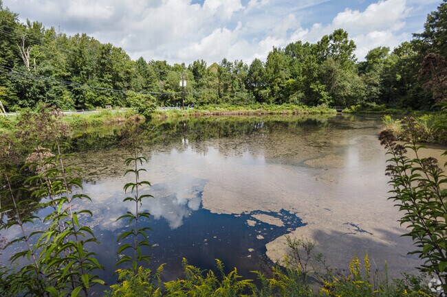 Maryland DNR stocks trout at Melwood Pond for local anglers.