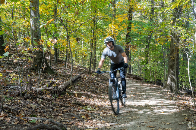 The nature trail system along the James River is just minutes from the Swanson neighborhood.