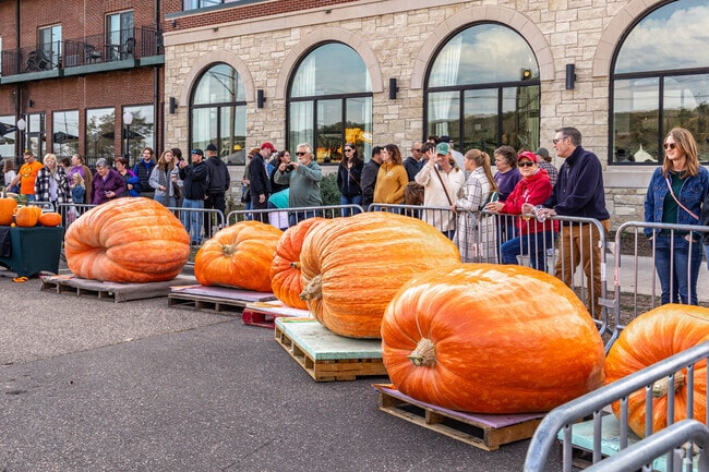 The giant pumpkin weigh-off takes place at the Stillwater Harvest Fest.