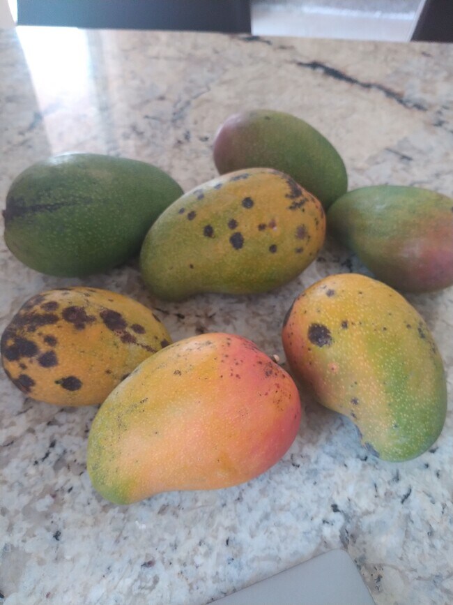 4015 Banyan Trails Dr, Coconut Creek, FL 33073 - photo 2