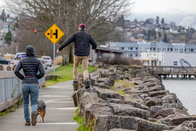 Jack Hyde Park on Ruston Way is popular for dog walks and bayfront views.