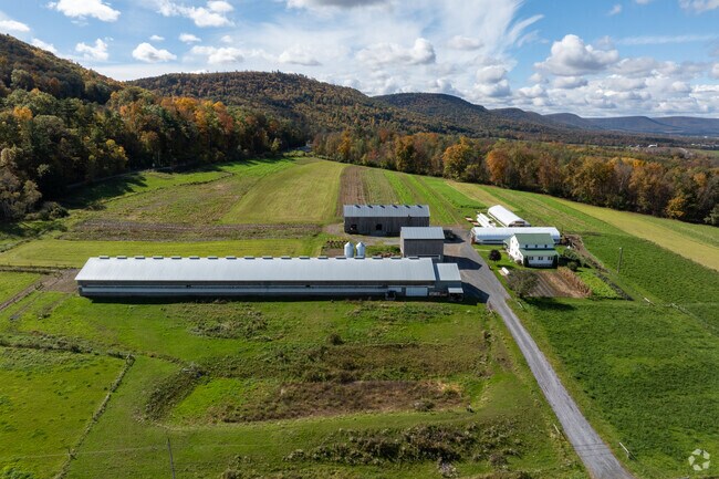 In the Limestone neighborhood you will see farms with the mountains in the background.
