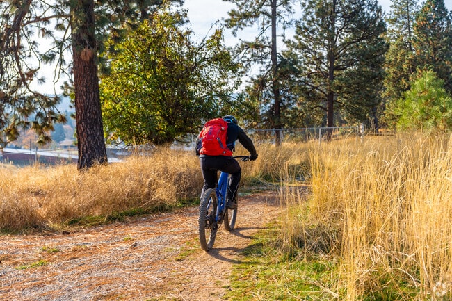 Residents of the Chester neighborhood like to mountain bike the Phillips creek trail.