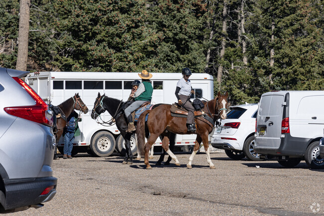 Hore riders flock to Cibola National Forest near Cedar Grove.
