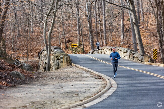 Take a jog through scenic Rock Creek Park which connects all the way to downtown DC.