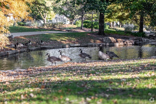 There are a few different ponds located near Village.
