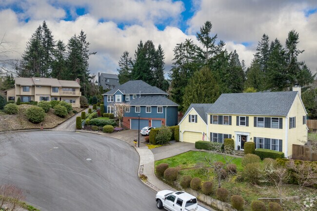 Large luxury homes can be found throughout the Rosemont Summit neighborhood.