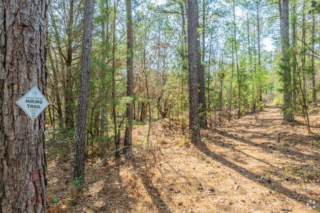 Nature lovers appreciate the hiking trails at Shealy’s Pond Heritage Preserve for its diverse ecosystem and serene beauty.