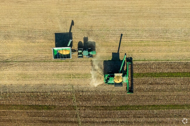 Tractors harvest cornfields along Rhodesdale’s rural roads.
