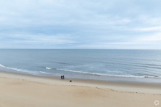 A couple walks their dog along the beach, enjoying the view in North Virginia Beach.