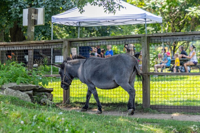 Menominee Park Zoo in Menominee South is open in the summer with new animal exhibits each year.