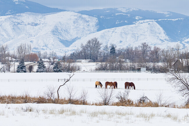 Many of the larger homes in Sheridan have pastures that can house their own horses.