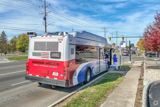 COTA Bus line number 24 has several bus stops on South Hamilton Avenue in Shady Lane.