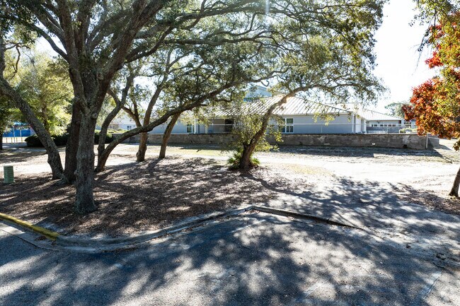A shady walk to Hellen Caro Elementary School.