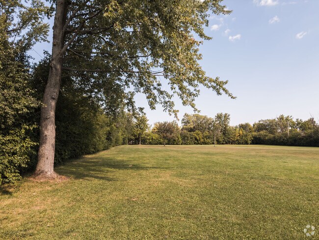 There is a lot of green space at Amherst Town Park.