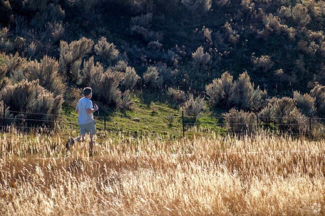 Nature trails in Morgan provide scenic jogging opportunities.