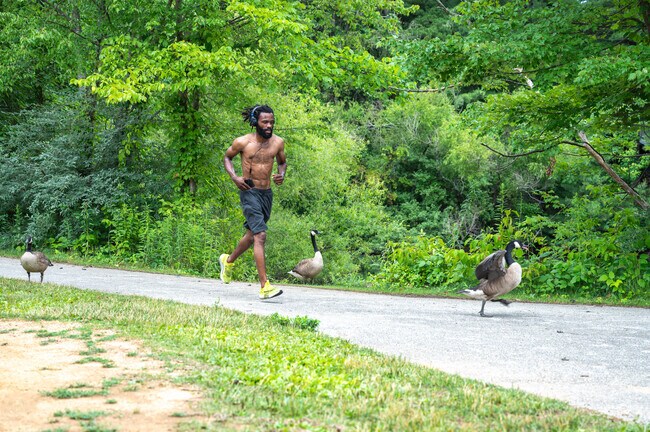 Jessup residents can go for a run with the geese at Guilford Neighborhood Park.