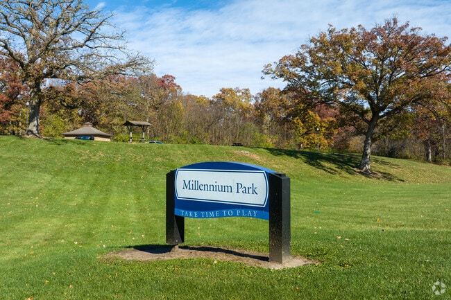 Millennium Park offers grassy meadows that attract those wanting to get some fresh air.