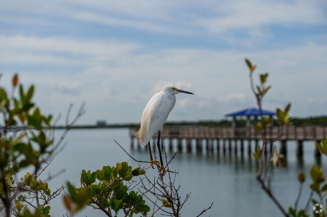 Wildlife is showcased at Smyrna Dunes Park in the North Beach neighborhood.