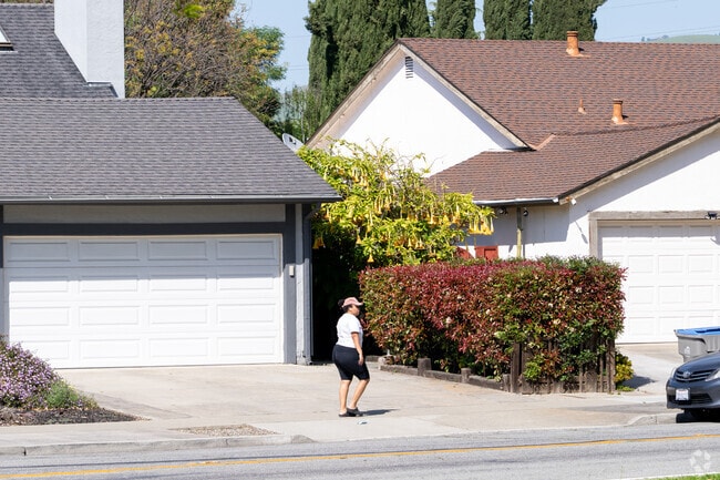 A resident strolls past tidy suburban homes in Vinci South, framed by flowering hedges and trees.