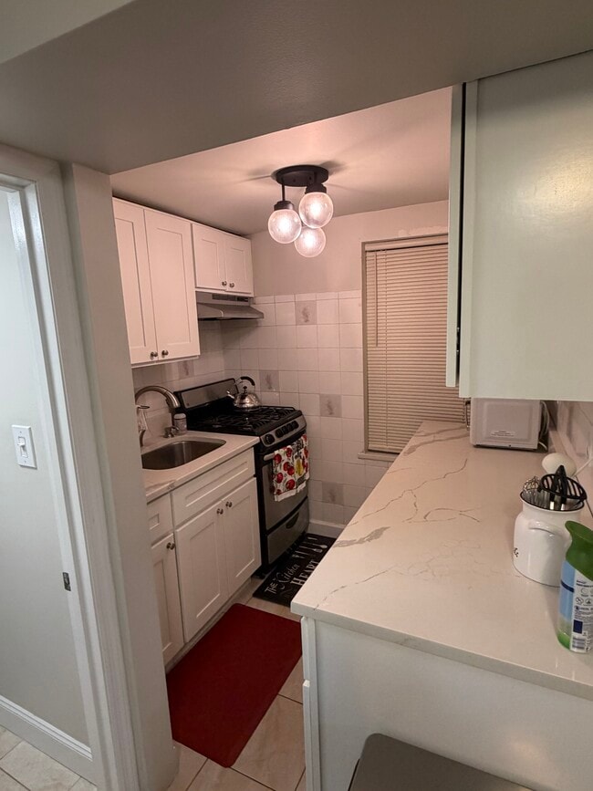 2222 Ryder St unit Ryder street, Brooklyn, NY 11234 - photo 4