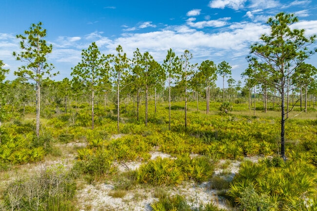 There is still plenty of open land in North Weeki Wachee.