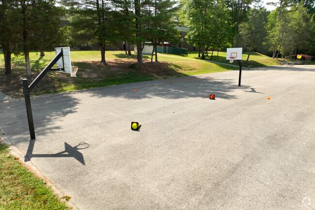 Linden Elementary School has a basketball court and black top.
