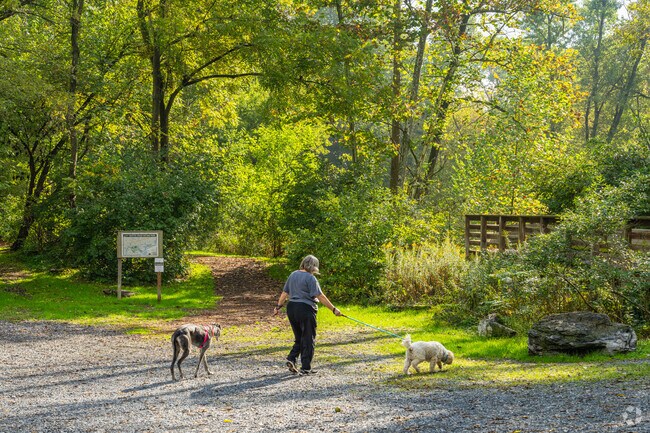 Dog walkers frequent the shaded paths at Quittie Creek Nature Park in Annville.