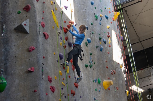 Join the rock-climbing community at EVO Rock + Fitness near Deering Center.